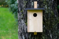 dobar Nistkasten für Stare aus Holz