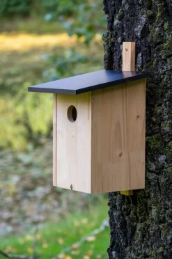 dobar Nistkasten für Stare aus Holz
