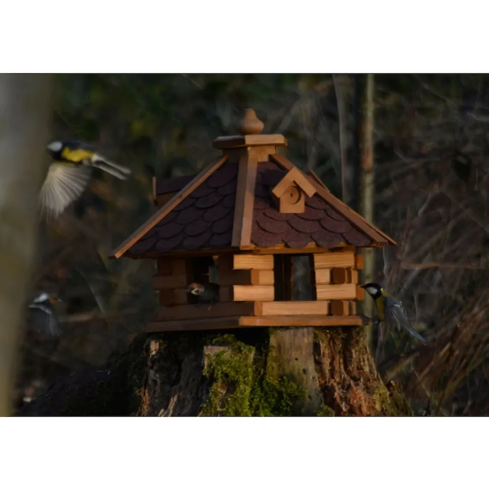 Dobar Rustikales XL-Vogelfutterhaus im Blockhaus-Stil mit rotem Bitumendach, Vogelhaus mit 6 Einfluglöchern