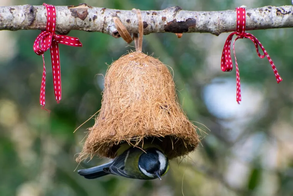 dobar Vogelfuttermix - versch. Varianten