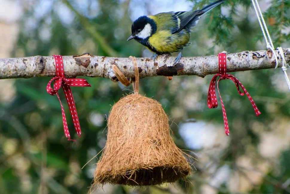 dobar Vogelfuttermix - versch. Varianten