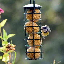dobar Vogelfutterspender inkl. Futter - versch. Varianten