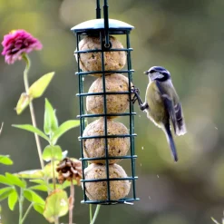 dobar Vogelfutterspender inkl. Futter - versch. Varianten
