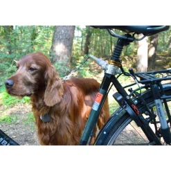 Dobar Walky Dog Plus Fahrradleine