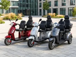 ECONELO E-Seniorenmobil Billy 2.0, Lithium-Akku, 3-Rad, 60V, 1000 Watt, groß Sitz, Rot