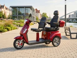ECONELO E-Seniorenmobil Billy 2.0, Lithium-Akku, 3-Rad, 60V, 1000 Watt, groß Sitz, Rot