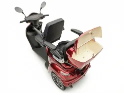 ECONELO E-Seniorenmobil Billy 2.0, Blei-Akku, 3-Rad, 60V, 1000 Watt, normal Sitz, Rot