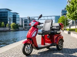 ECONELO E-Seniorenmobil Billy 2.0, Blei-Akku, 3-Rad, 60V, 1000 Watt, normal Sitz, Rot