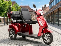 ECONELO E-Seniorenmobil Billy 2.0, Blei-Akku, 3-Rad, 60V, 1000 Watt, normal Sitz, Rot