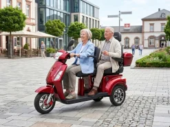 ECONELO E-Seniorenmobil Billy 2.0, Blei-Akku, 3-Rad, 60V, 1000 Watt, groß Sitz, Rot