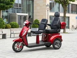 ECONELO E-Seniorenmobil Billy 2.0, Blei-Akku, 3-Rad, 60V, 1000 Watt, groß Sitz, Rot