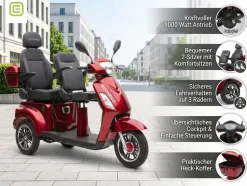 ECONELO E-Seniorenmobil Billy 2.0, Blei-Akku, 3-Rad, 60V, 1000 Watt, groß Sitz, Rot
