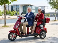 ECONELO E-Seniorenmobil Billy 2.0, Blei-Akku, 3-Rad, 60V, 1000 Watt, groß Sitz, Rot