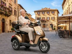 Econelo E-Seniorenmobil Yogi-IQ, Blei-Akku, 3-Rad, 1000 Watt, Braun