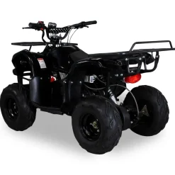 Elektro-Kinderquad S-8 Farmer, Midi-Quad mit 1000 Watt, Scheiben-/Trommelbremsen, bis 20 km/h, ab 8 (Schwarz)