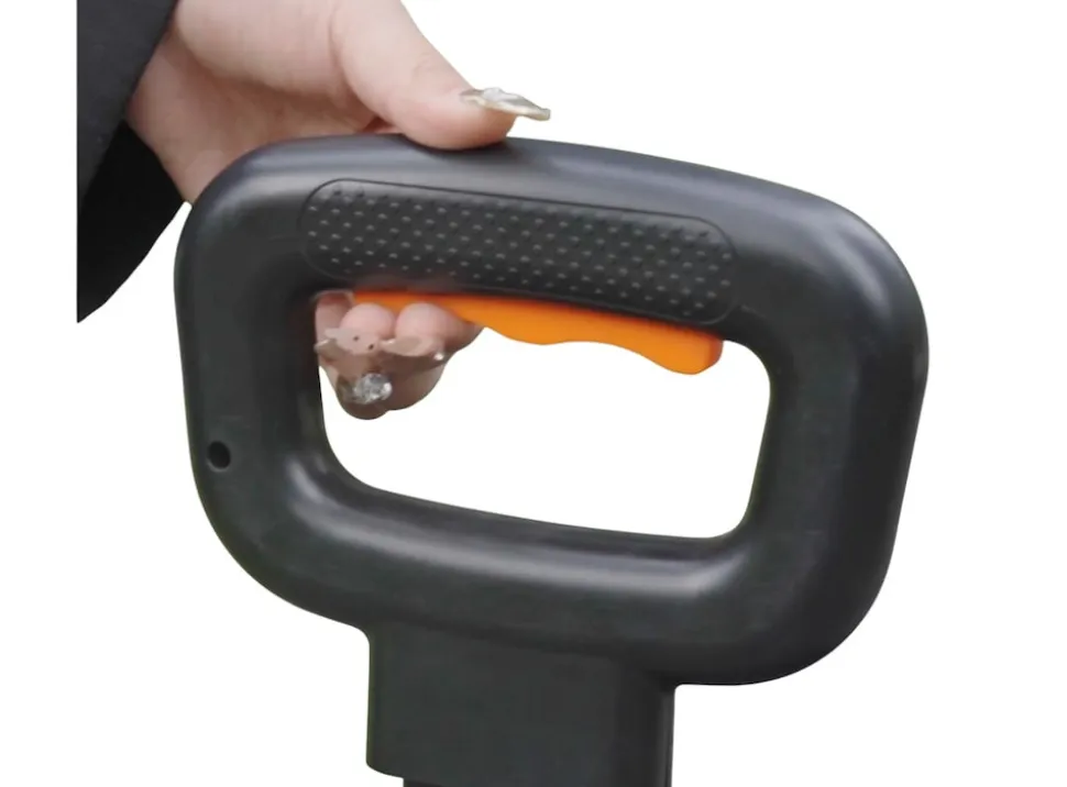 ENEWAY Bollero E-Bollerwagen Elektrischer Bollerwagen schwarz