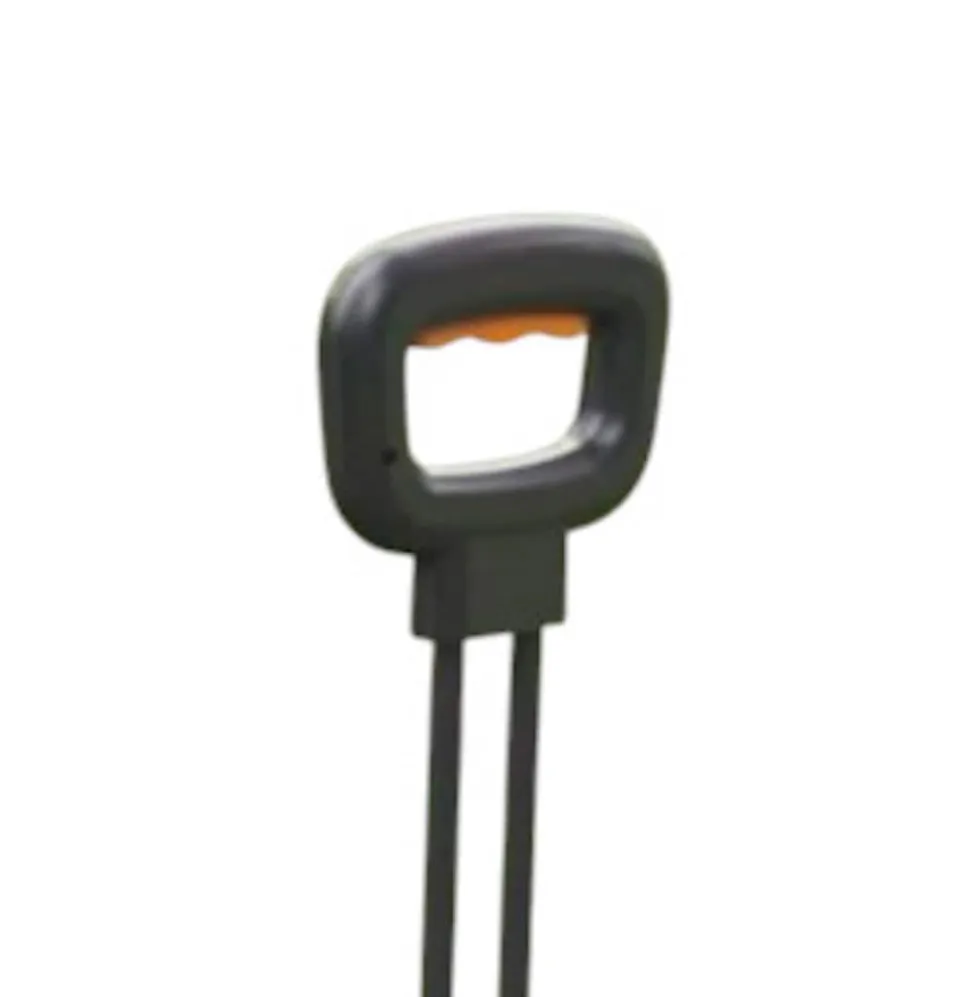 ENEWAY Bollero E-Bollerwagen Elektrischer Bollerwagen schwarz