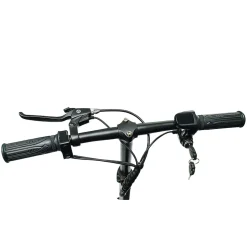 ENEWAY Muvy 4-Rad EMobil 6 km/h Elektromobil mit Lithium-Akku