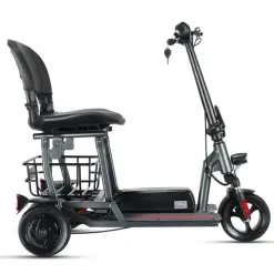 ENEWAY Muvy 3-Rad EMobil 6 km/h Elektromobil mit Lithium-Akku