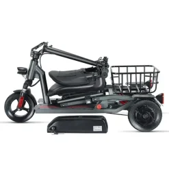ENEWAY Muvy 3-Rad EMobil 6 km/h Elektromobil mit Lithium-Akku