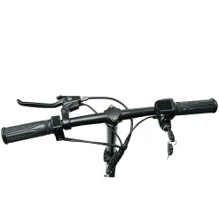 ENEWAY Muvy 3-Rad EMobil 6 km/h Elektromobil mit Lithium-Akku