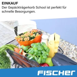 FISCHER Gepäckträgerkorb »School« 25kg