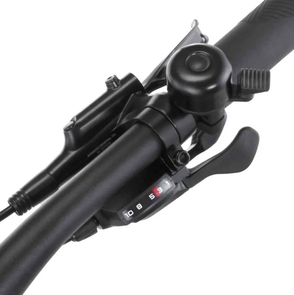 FISCHER Montis 2.2 ACTIVE - RH 43 cm, 29 Zoll, 688 Wh
