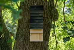 Fledermauskasten mit Belüftungsschlitzen, Nisthilfe zum Aufhängen