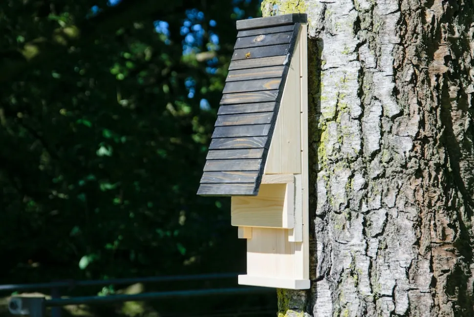 Fledermauskasten mit Belüftungsschlitzen, Nisthilfe zum Aufhängen
