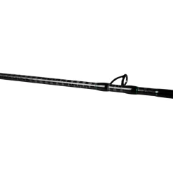 FTM Greenlight 2,40m 20-100g Aalrute