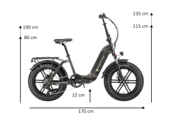 GreenStreet E-Bike Tiefeinsteiger Klapprad GS5 250 W 20 Zoll anthrazit