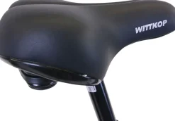 Hawk Citytrek Lady Deluxe Cityrad Damen 28 Zoll 53 cm Trapez - Anthrazit