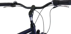 Hawk Citytrek Lady Deluxe Cityrad Damen 28 Zoll 53 cm Trapez - Anthrazit