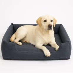 INTEX 48702NP - Hunde-Bett - für Hunde bis 22,7kg (97x74x23cm) Tierbett Pet Bed mit Handpumpe