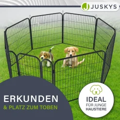 Juskys Welpenauslauf Plus 160x160x80 cm, 8-teilig aus Metall mit Tür für Hunde, Hasen & Kleintiere