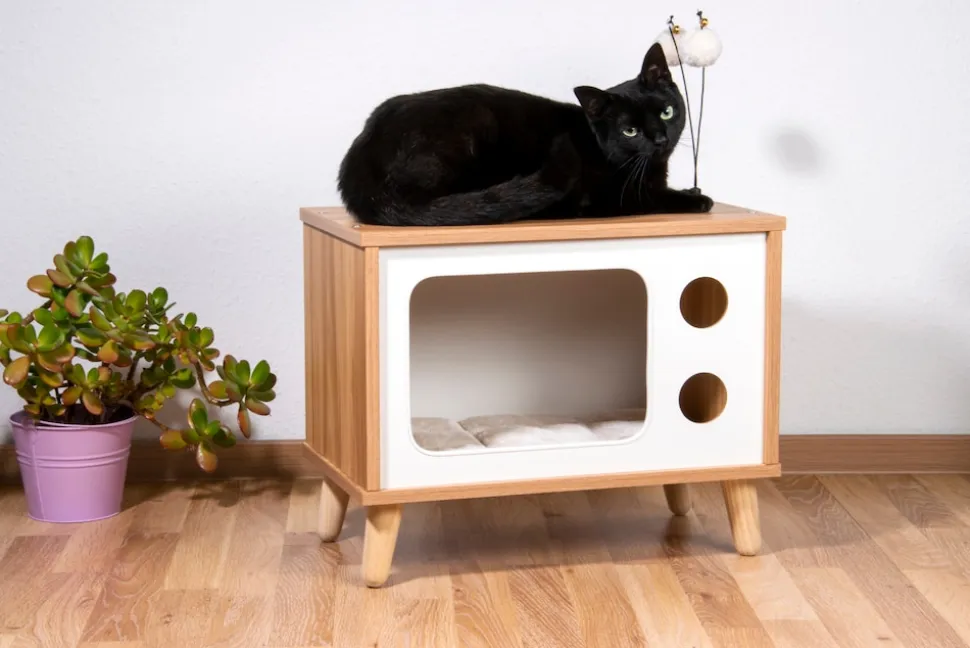 Katzenhöhle TV-Design mit Spielbällen, Jute-Fläche & Plüschkissen