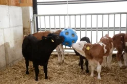 Kerbl Futterball Futterspielball blau für Pferde / Spielzeug für Tiere - 3210385