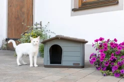 Kerbl Katzenhaus Paola Eco (auch geeignet für kleine Hunde, 60 x 51 x 41 cm)