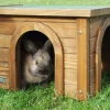 Kerbl Nagerhaus für Kanninchen Haus aus Spießtanne zwei Eingänge