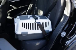 Kerbl Transportbox Gulliver Box für Katzen / Kleintiere, mit Metalltür