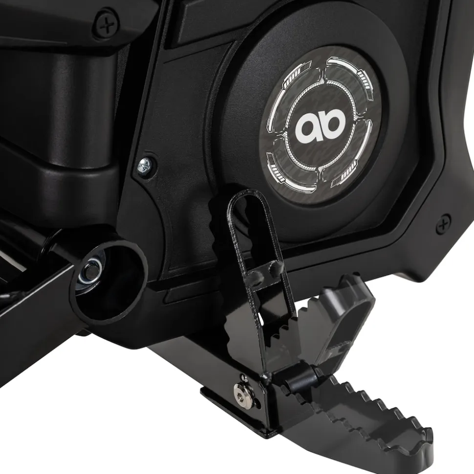 Kinder Crossbike Raider, Kinder Elektromotorrad, maximale Sicherheitsstandards, ab 8 Jahren