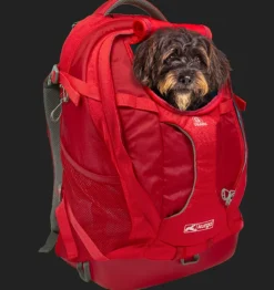 Kurgo G-Train Hunderucksack, Schwarz