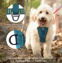 Kurgo Tru-Fit Autosicherheitsgeschirr für Hunde, Größe XS, Tintenblau