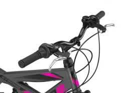 Licorne Bike Strong V Premium Mountainbike in 24 und 26 Zoll - Fahrrad für Jungen, Mädchen, Damen und Herren - Shimano 21 Gang-Schaltung - Vollfederung Zoll:26;Farbe:Anthrazit/Rosa