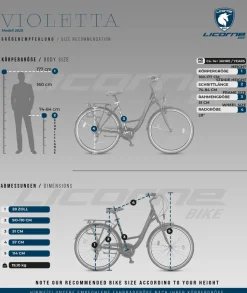 Licorne Bike Violetta Premium City Bike in 28 Zoll - Fahrrad für Mädchen, Jungen, Herren und Damen - Shimano 21 Gang-Schaltung - Hollandfahrrad Zoll:28.00;Farbe:Grau