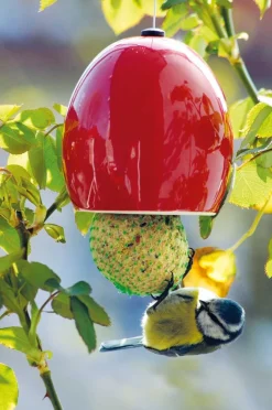 Luxus-Vogelhaus Keramik-Futterspender 