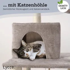 Lycce Kratzbaum ROYAL Katzenbaum mit Höhle und Hängematte, 145 cm