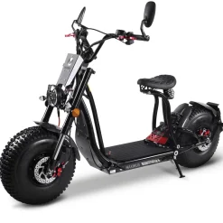 Maximus, E-Cruiser 45 - 45 km/h, 60V-25,6 Ah Lithium Akku, 2x1500 Watt