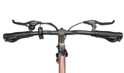Maxtron Smart30, Falt-E-Bike, Riemenantrieb, 20