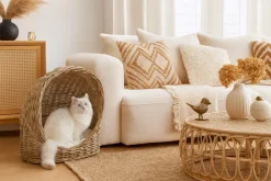 möbel direkt online Katzen-/Hundekorb Moritz grau
